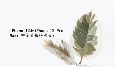iPhone 13和iPhone 12 Pro Max：哪个更值得购买？