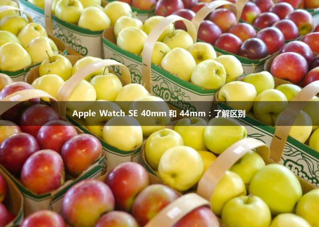 Apple Watch SE 40mm 和 44mm：了解区别